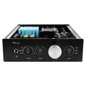 Audio-gd NFB-11.38 PE (Accusilicon 318B)