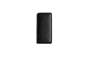 Shanling m3s case